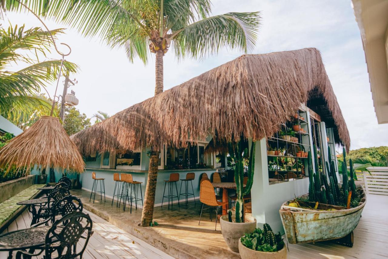 Cactus Lodge Pipa Praia de Pipa Eksteriør billede